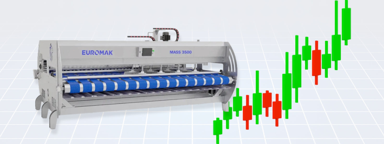 ROI Timeline for New Rug Cleaning Equipment