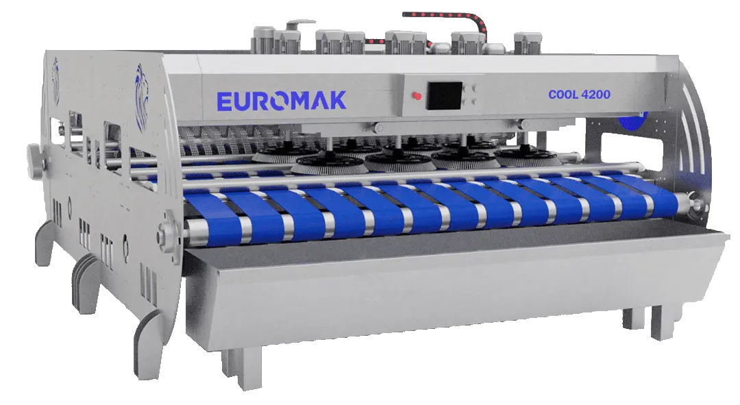Euromak Cool 4200 14ft Rug Washing Machine with multiple blue brushes attached to a metal frame on a white background.