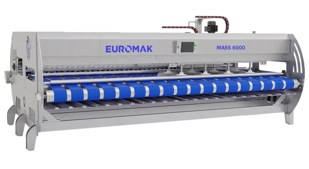 Euromak Mass 6000 automatic rug carpet washing machine, featuring a metal construction with blue brushes, a touchscreen control panel, and a industrial design.