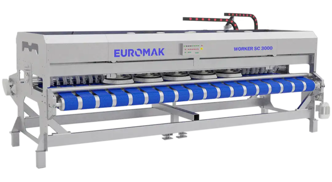 Euromak Worker SC 3000 10ft Automatic Rug Washing Machine with blue brushes and a gray body. Rug washing machine for commercial cleaning operations
