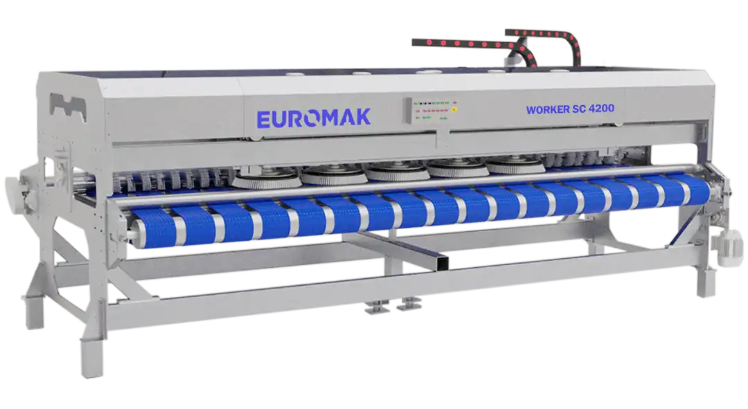 Automatic carpet washing machine for deep clean, the Euromak Worker SC 4200 14ft Automatic Rug Washing Machine, featuring a series of blue brushes on a metallic frame.