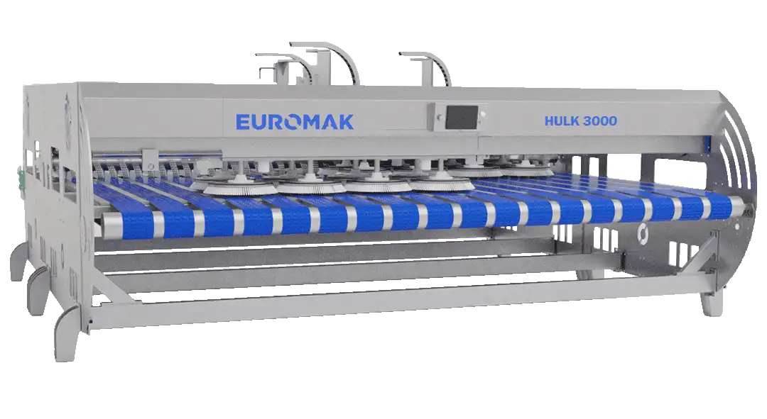 Industrial Euromak Hulk 3000 rug washing machine featuring multiple blue disc brushes arranged in a row on a metallic frame with control panel.