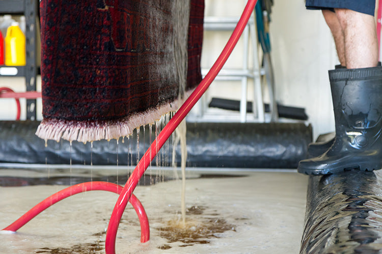 How to Clean Oriental & Persian Rugs Without Damaging Delicate Fibers