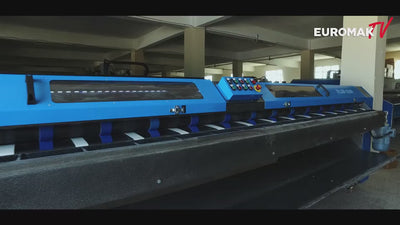 Automatic Rug Carpet Beating Machine